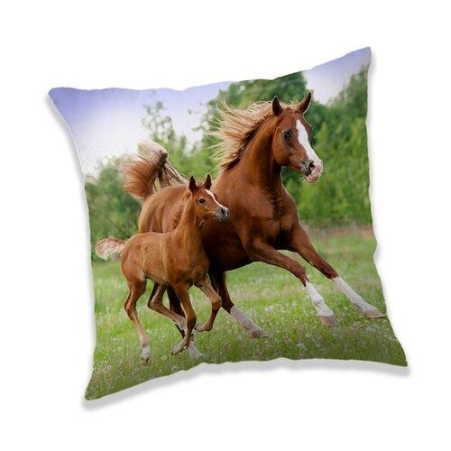 Jerry Fabrics Polštářek Horse brown
