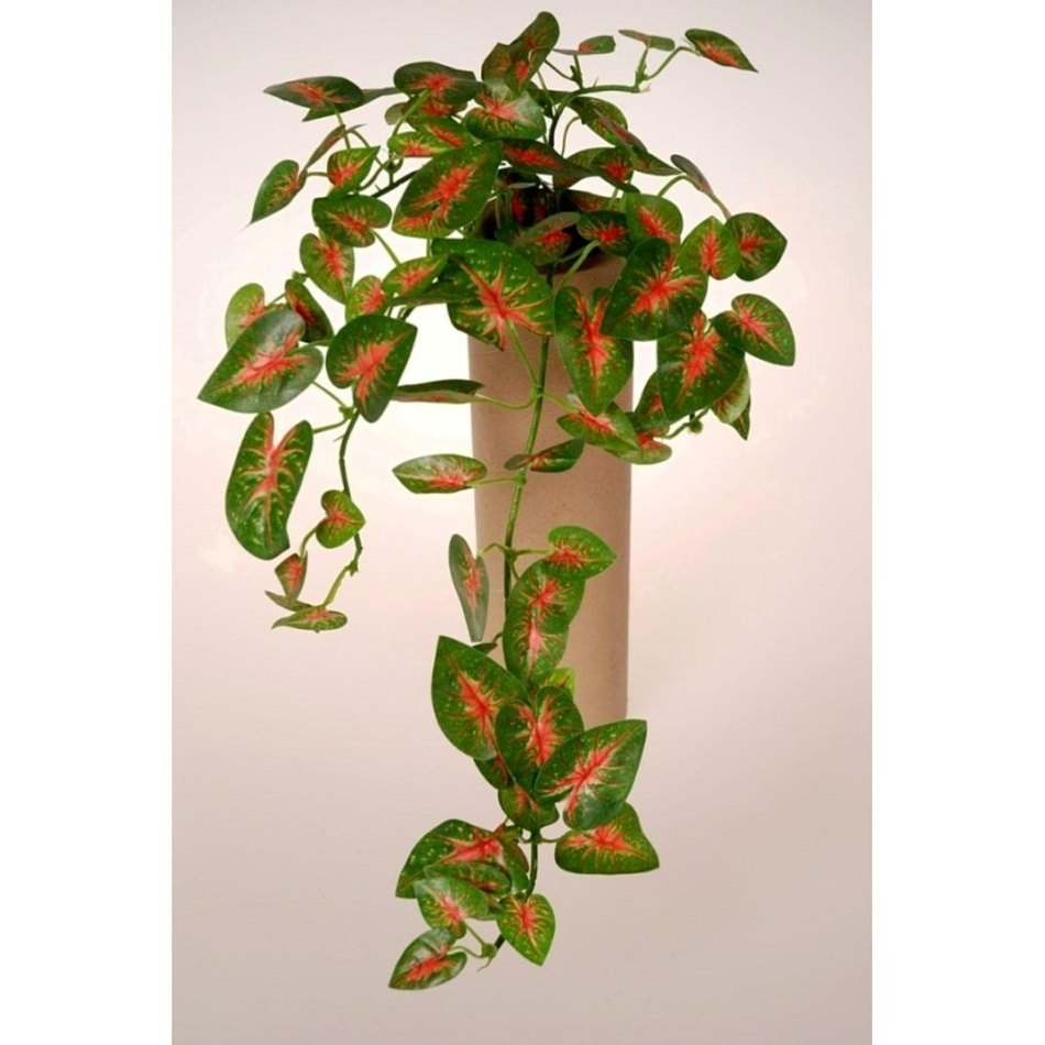 Umělé Mini caladium
