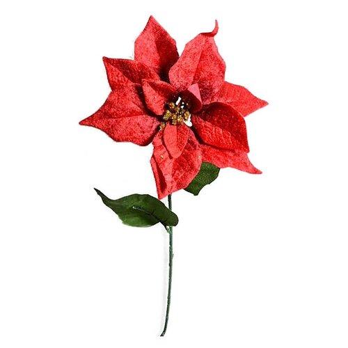 Vánoční sametová růže červená
