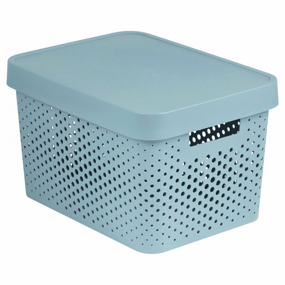 Curver Úložný box s víkem INFINITY 17 l