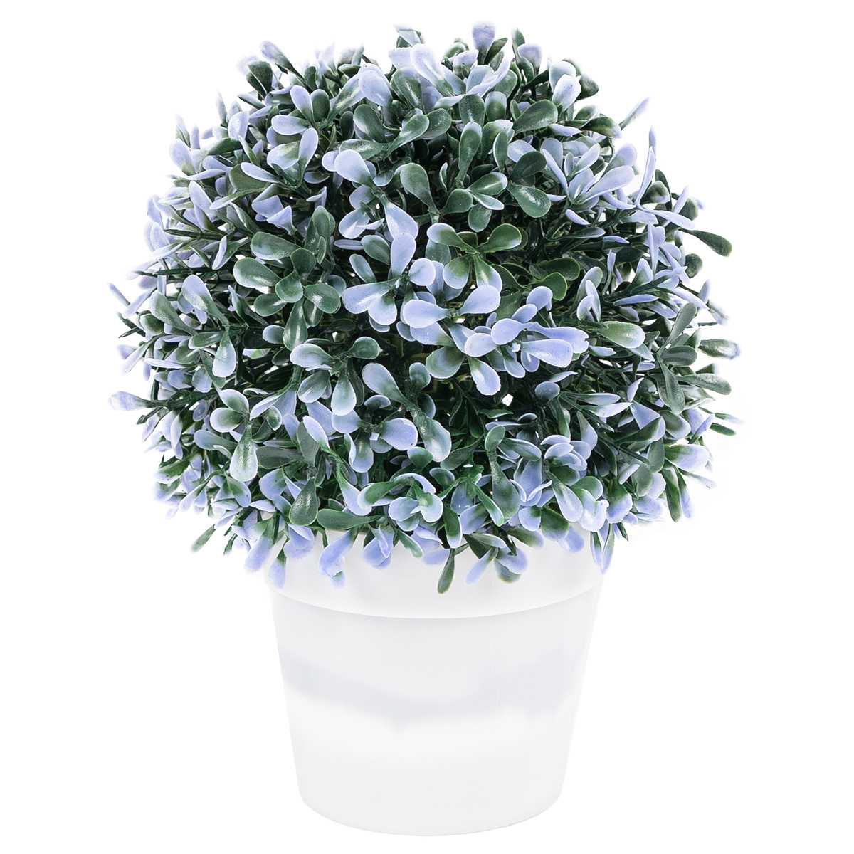 Dekorační rostlina v květináči modrá