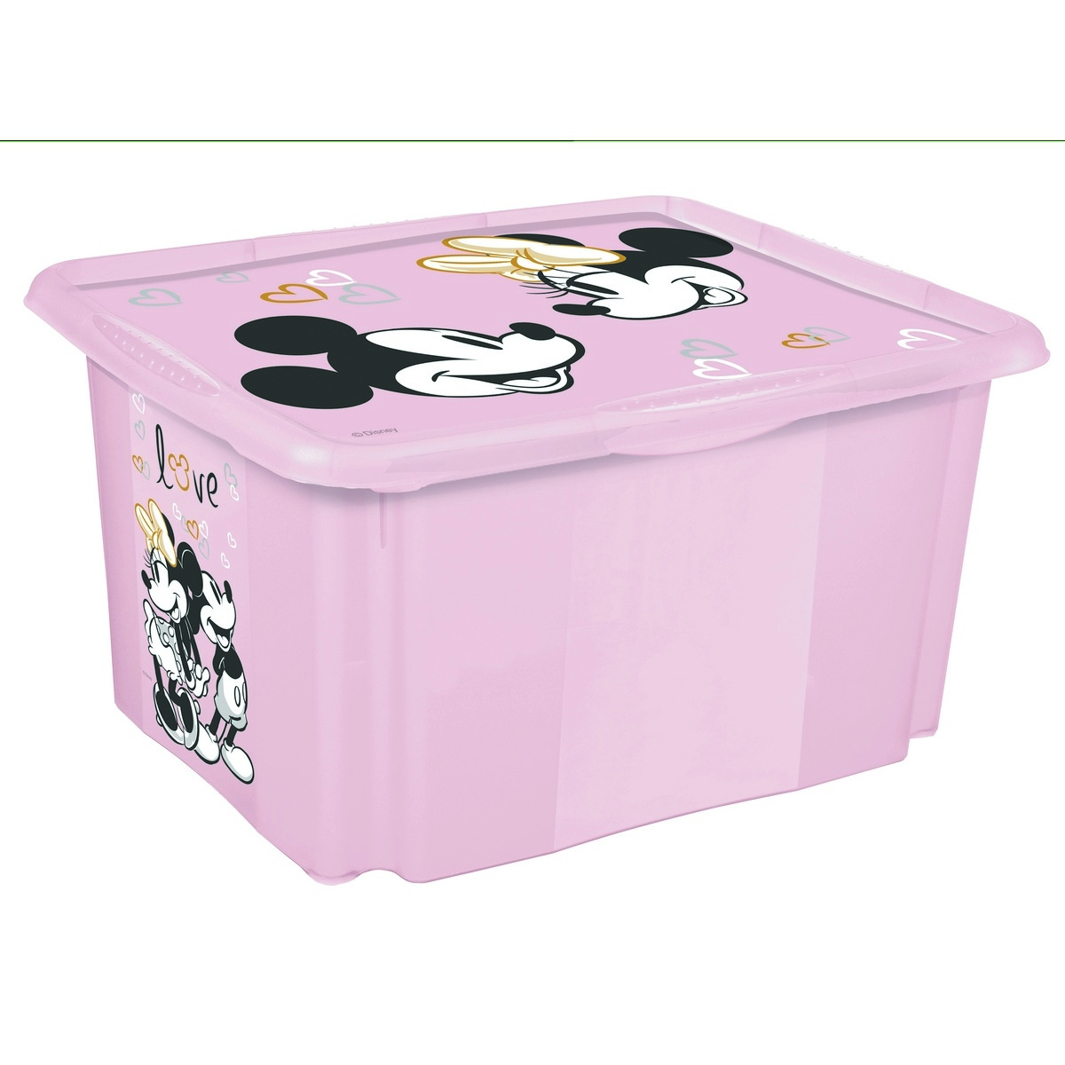Dětský úložný box Minnie